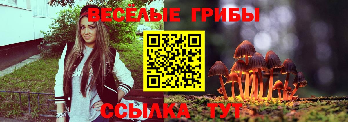 Клинцы  Псилоцибиновые грибы Psilocybine cubensis  Вход с VPN 